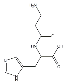 Papaïne CAS 9001-73-4